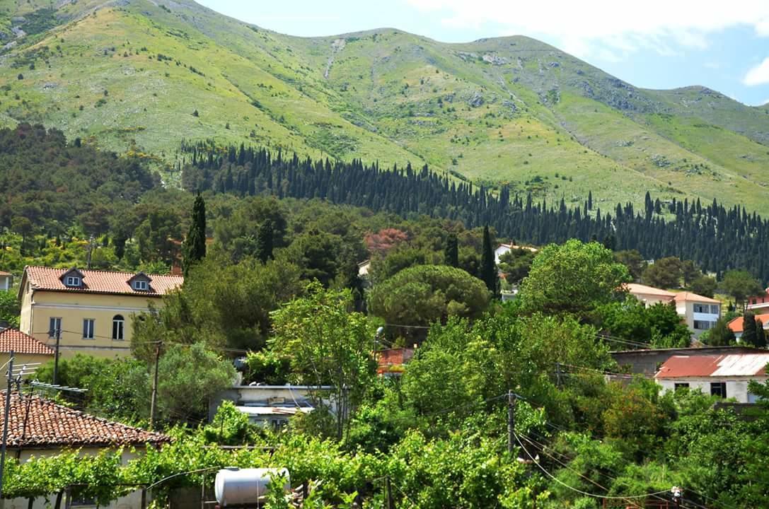 Hotel Shkodra Lake Široka Extérieur photo